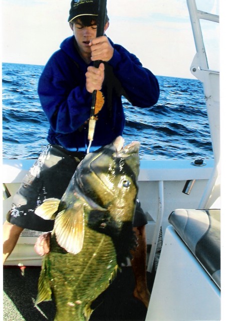 Older sons Blue Groper Older sons Blue Groper